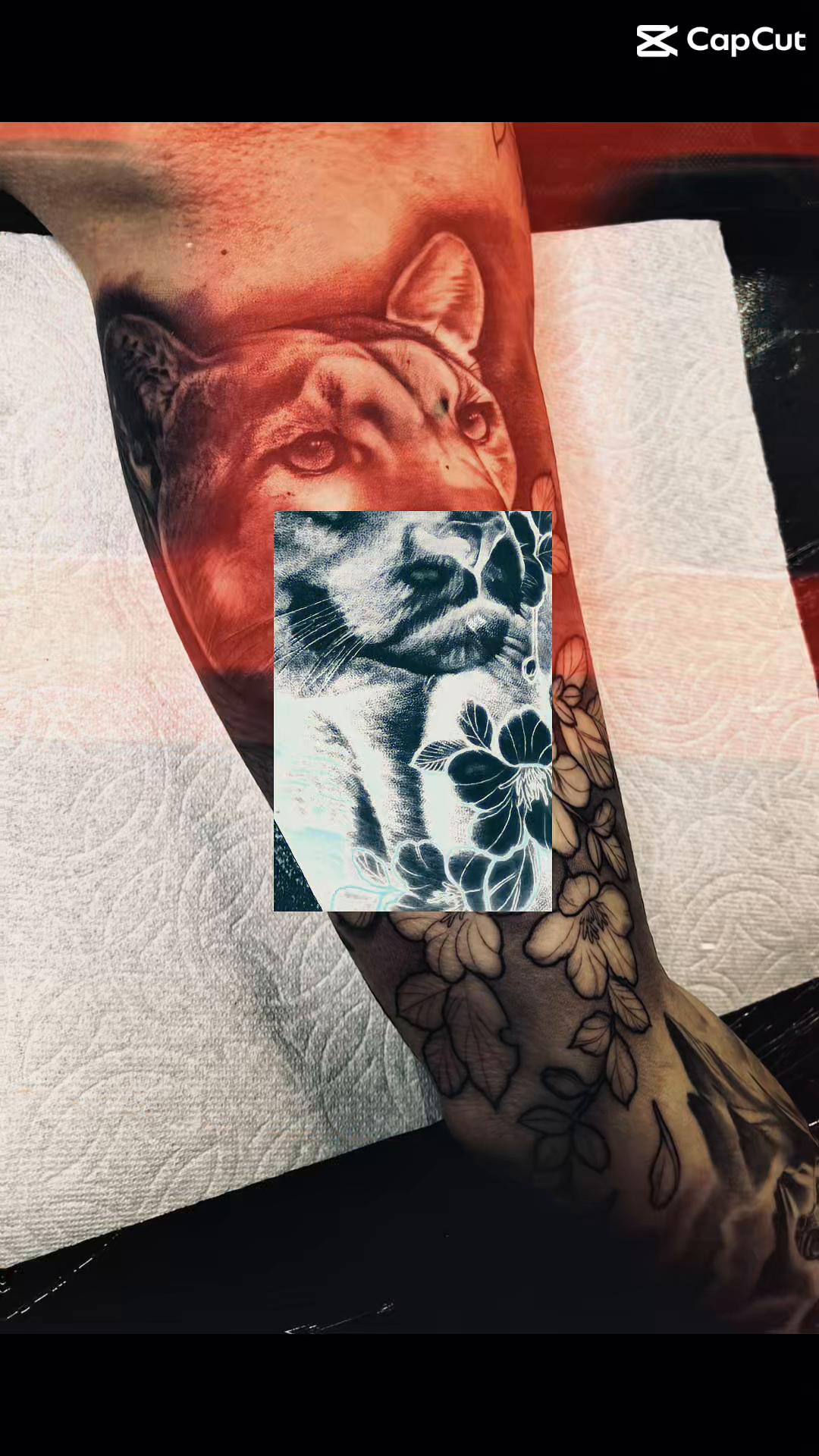 @Tattoos by Hart