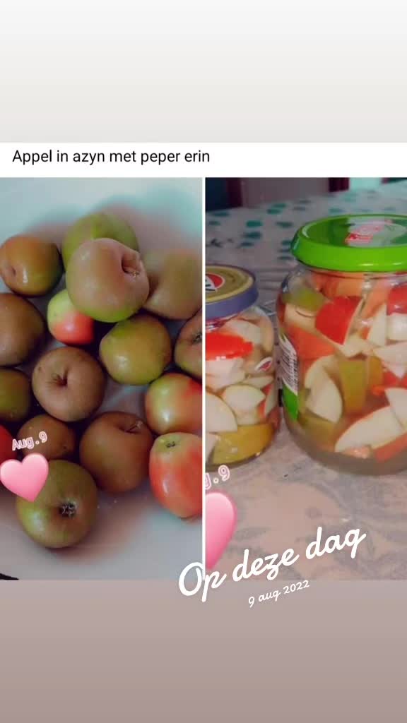 @Rosita Kalloe576