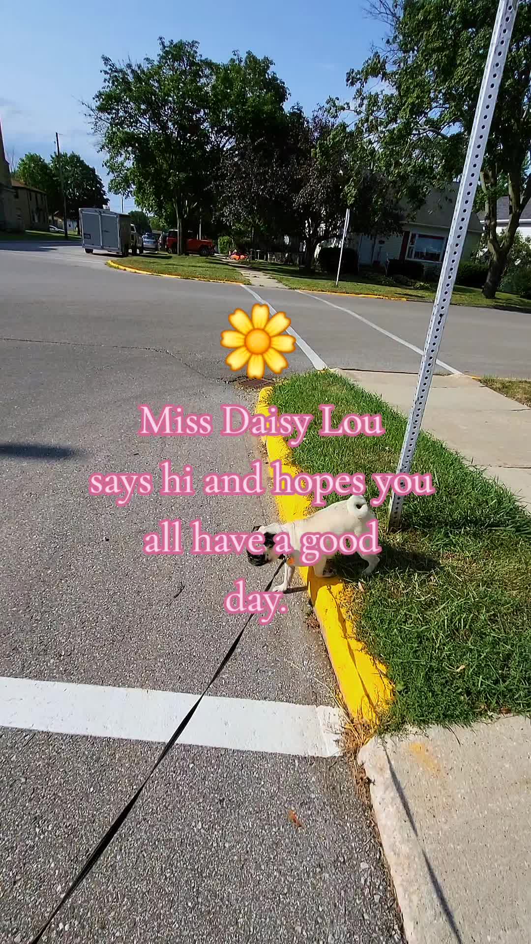 @💚kellymarie💚117💚