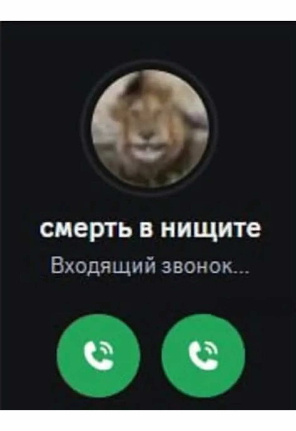 @ℒ𝒶𝒹𝓎𝒦𝑜𝒽𝒶𝓃𝓃𝓎𝒶 🫀🐈⬛