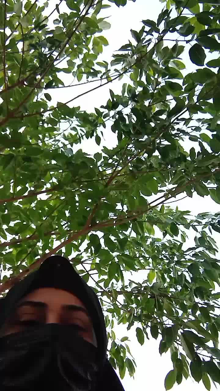 @foziaqureshi271