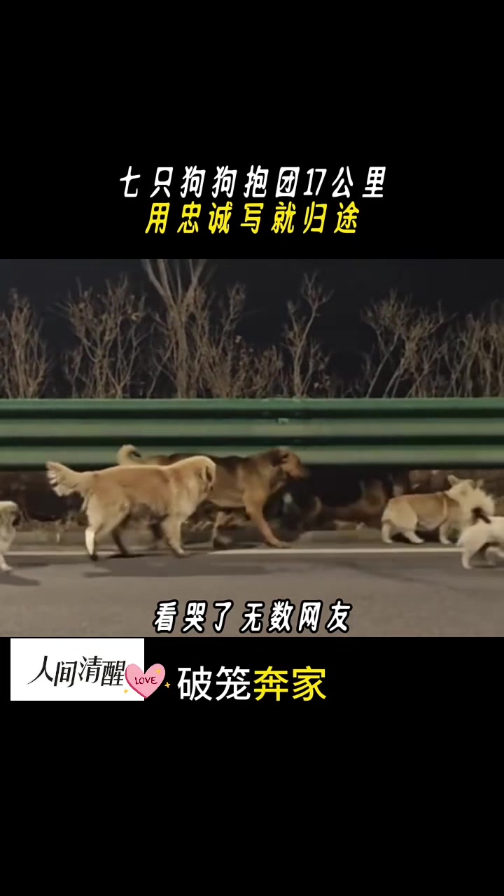 @人间清醒