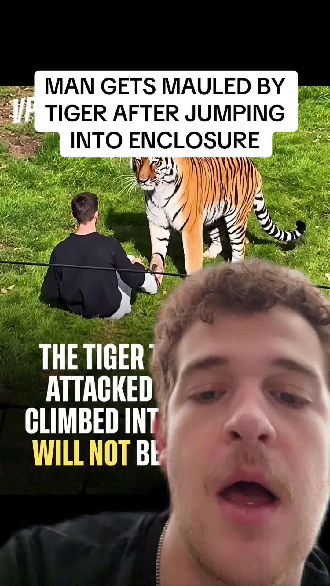 @CurlyDaddy101
