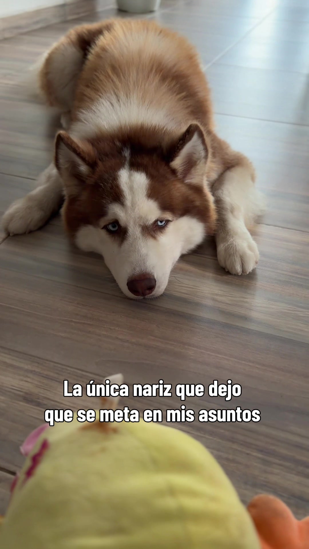 @Alan