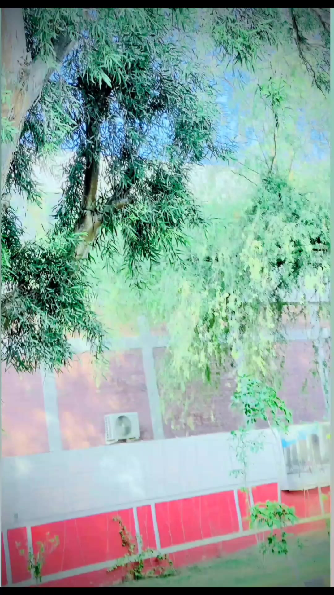 @NAVEED پتافی 💫