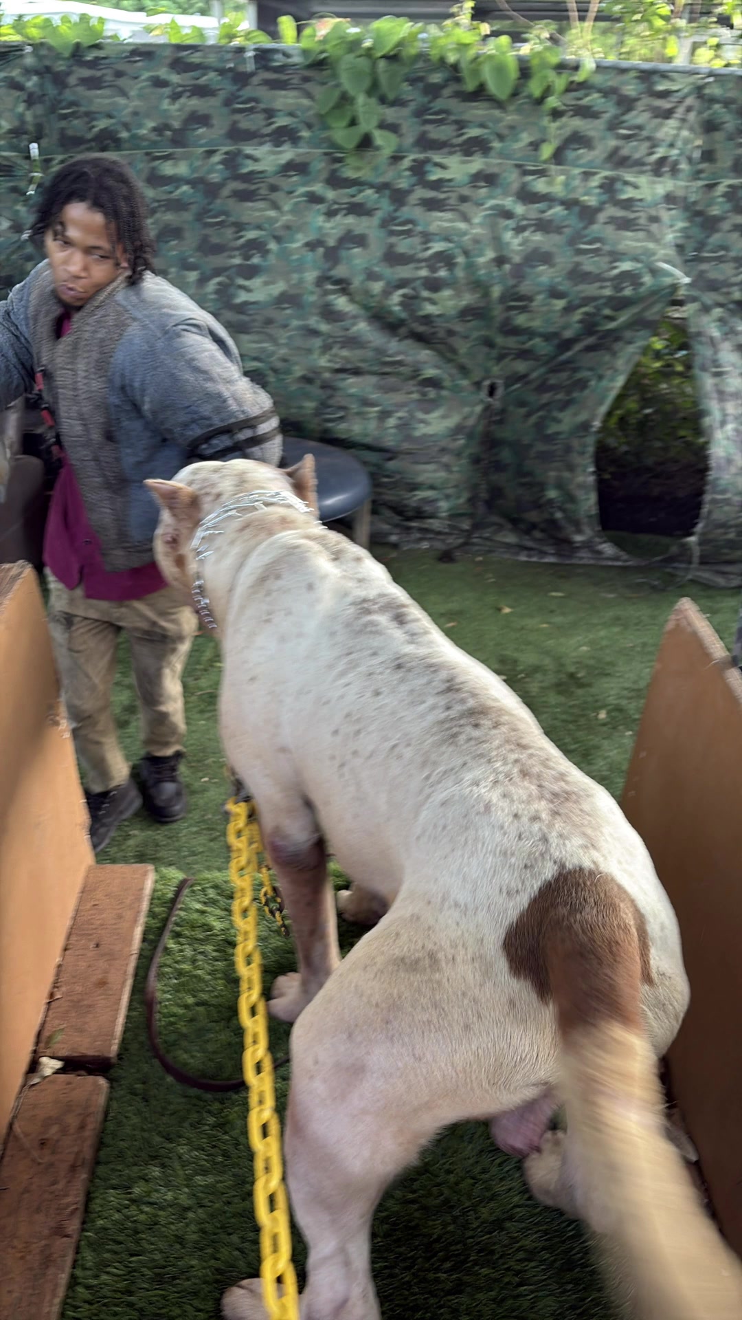 @Lewis K9 Institute Elite