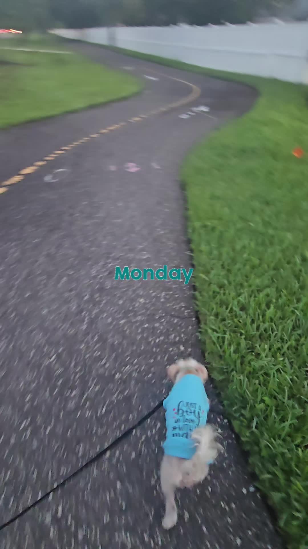 @PromotingPositiveMentalHealth