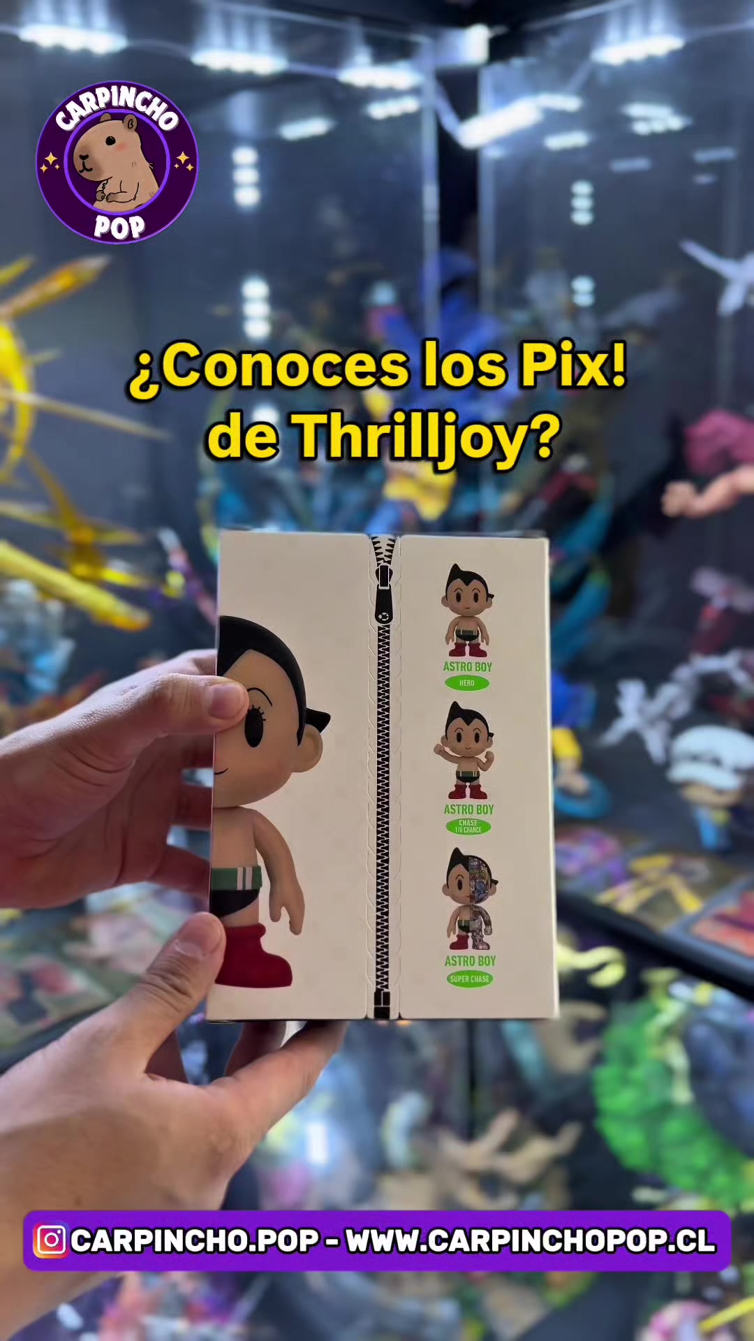 @carpinchopop