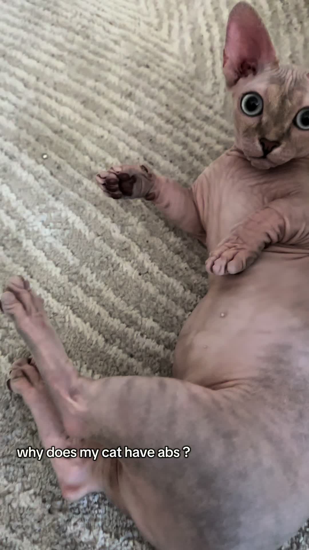 @famoussphynx