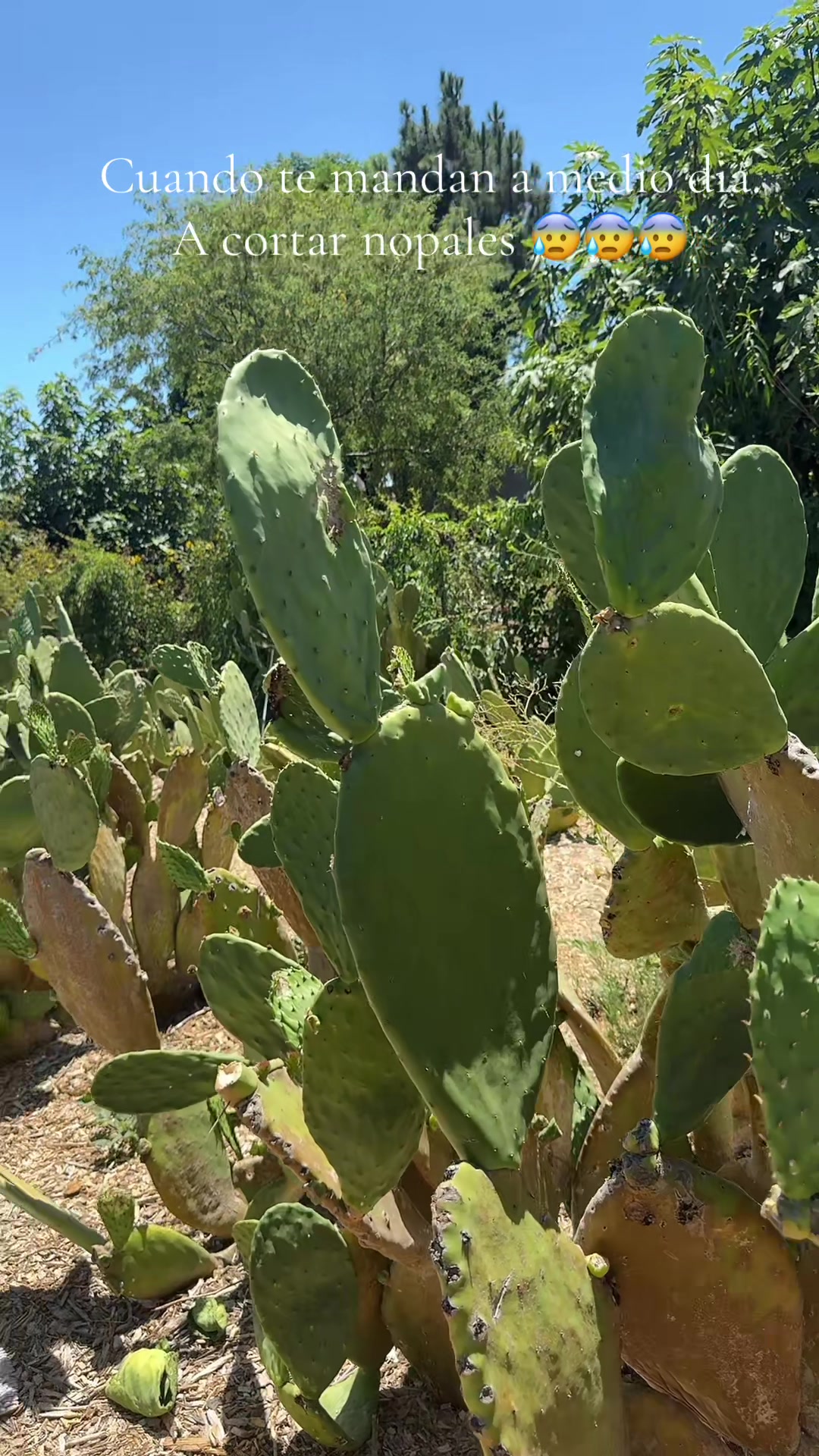 @Margarita R