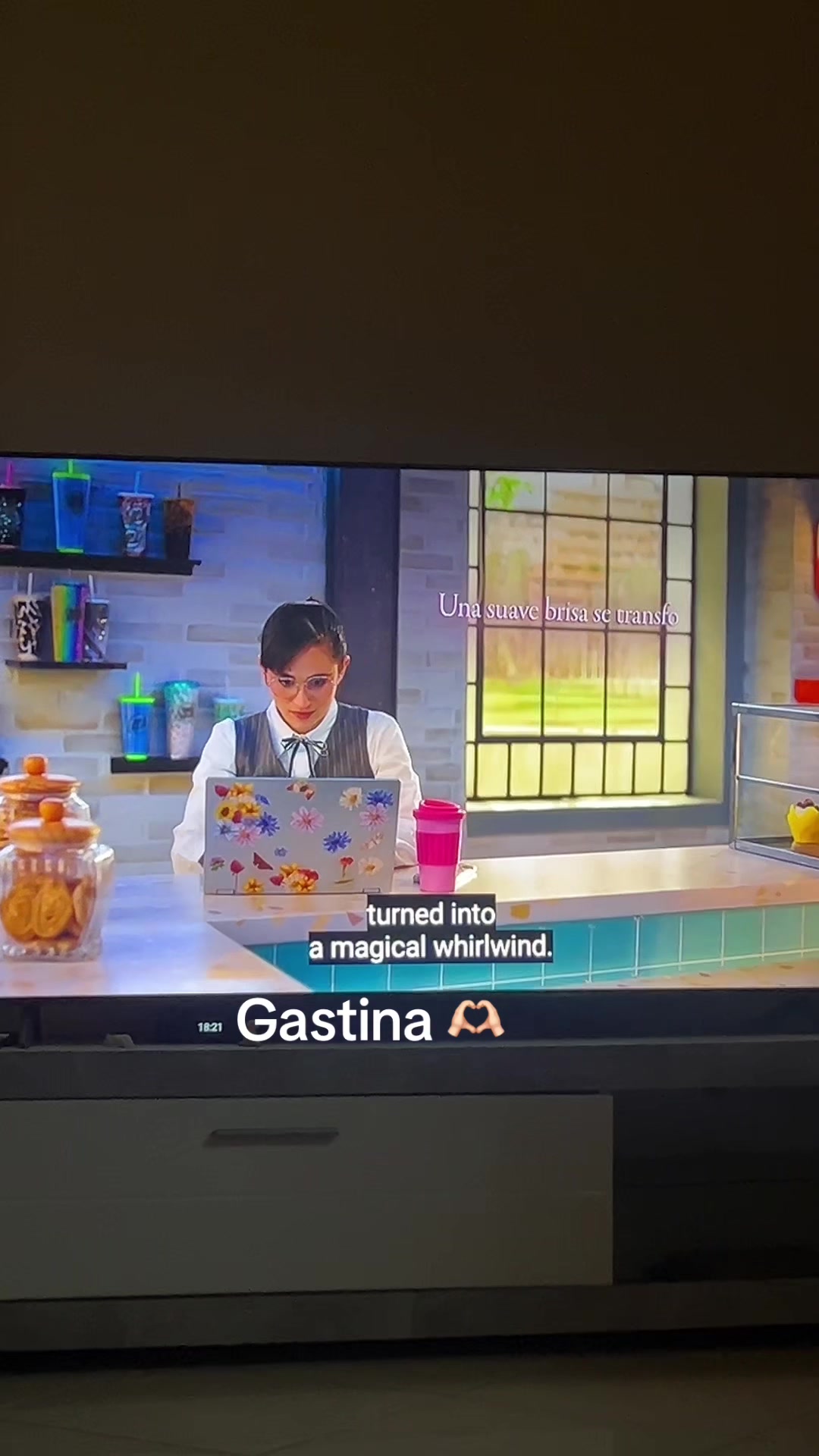 @disney_fan & netflix_fan