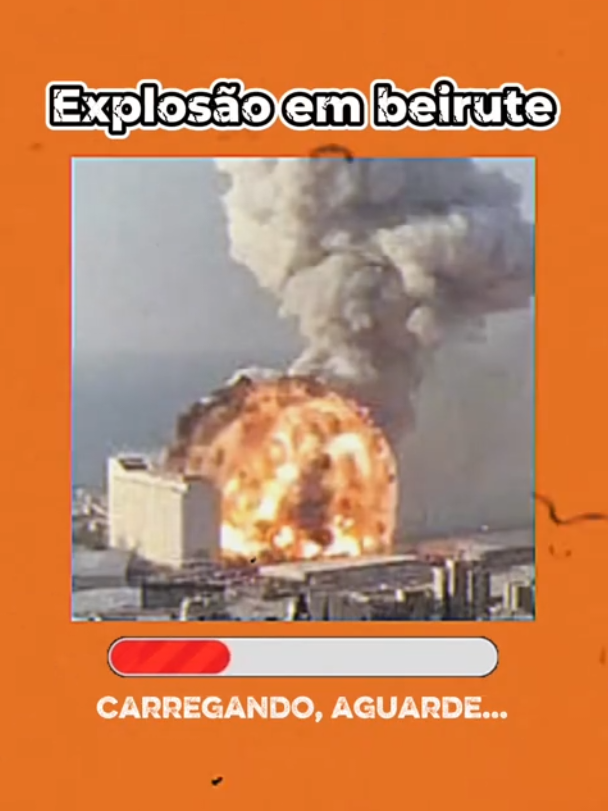 @Zoolândia Cine