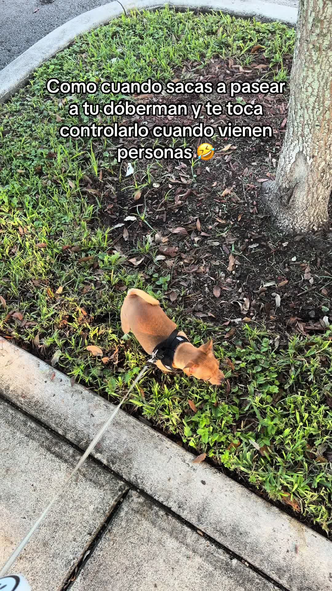 @Gloria Hernandez