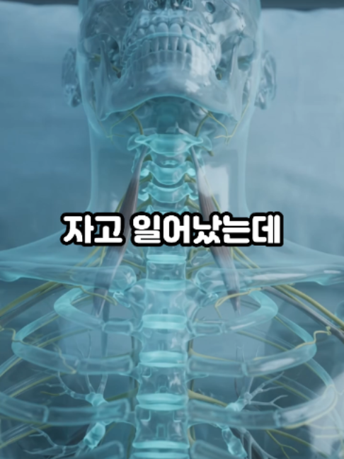 @견우한의원