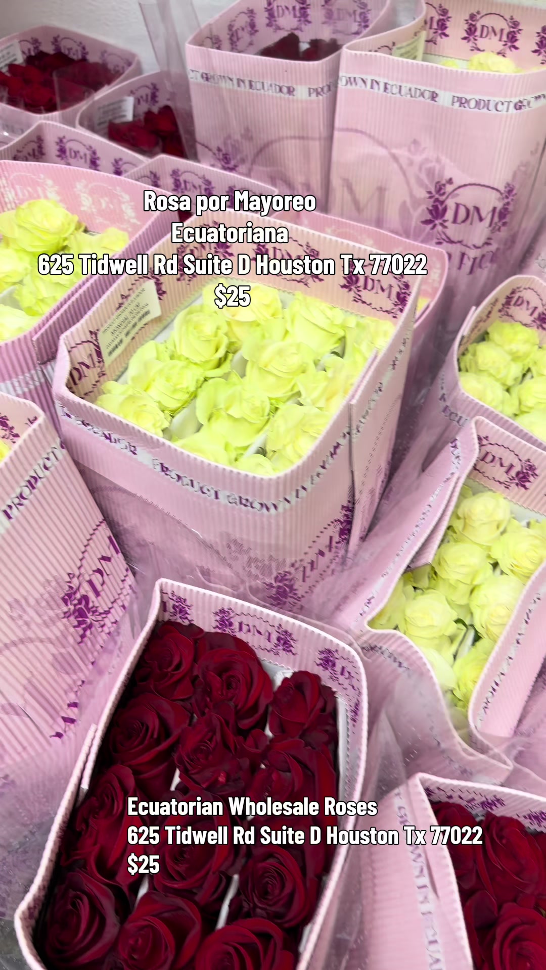 @amorflorale_wholesale