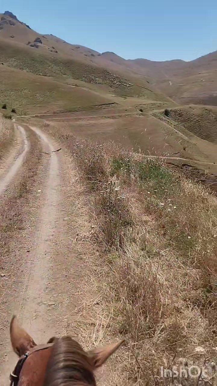@Elgün Əlizadə