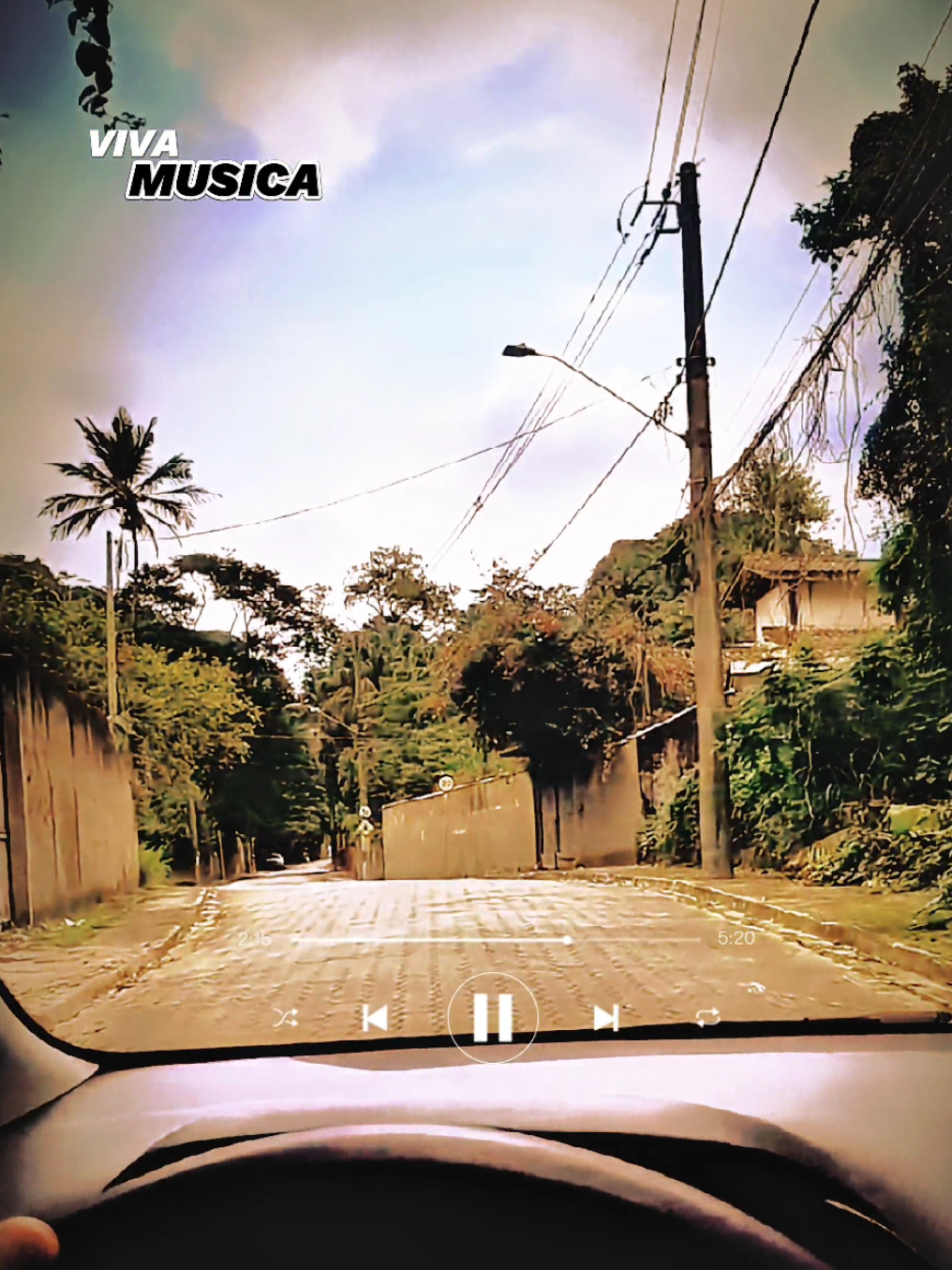 @VIVA M&Uacute;SICA