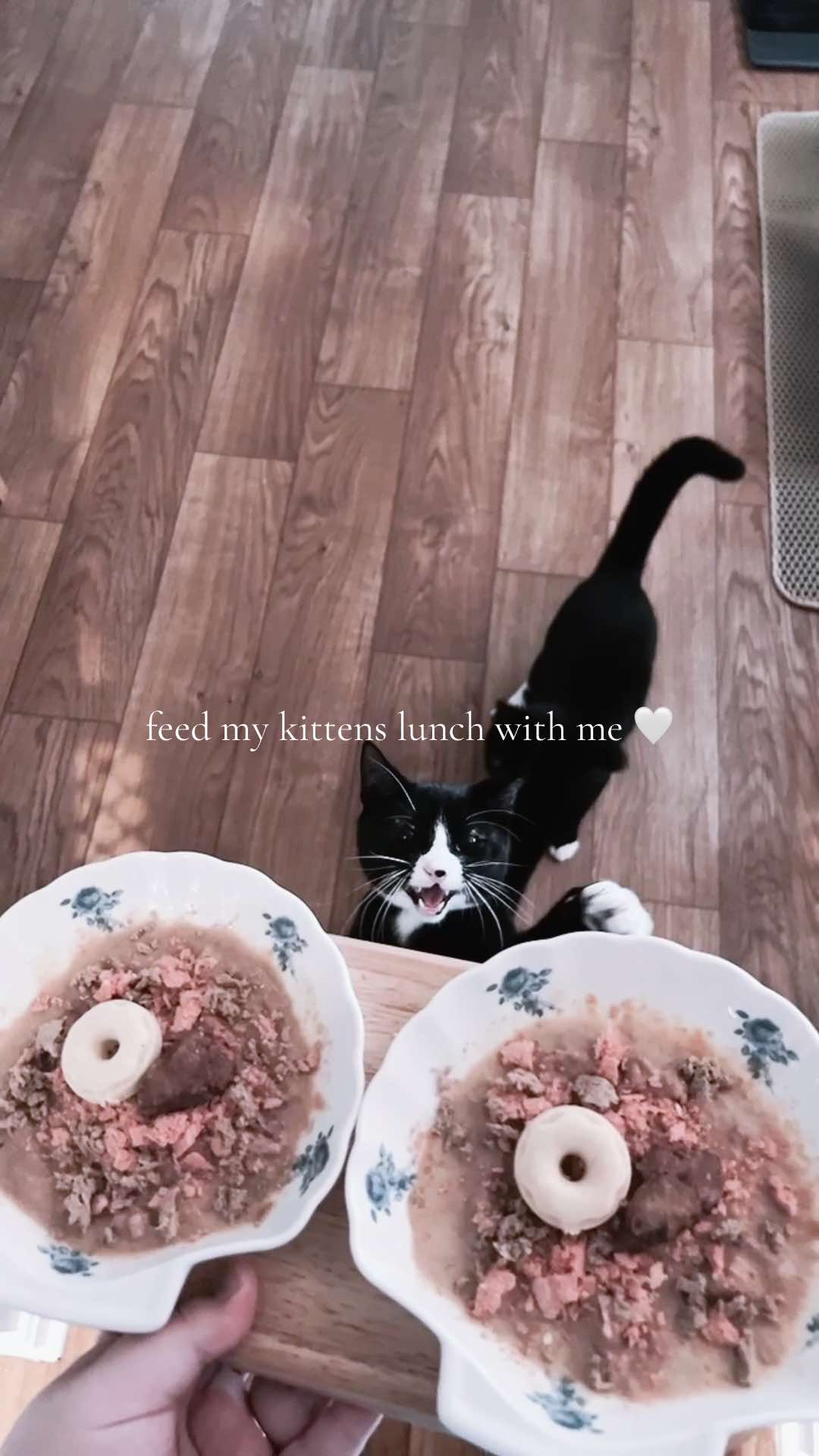 @𐙚 ꒰ quynh 🤍 ⋮ ⊹‧₊˚