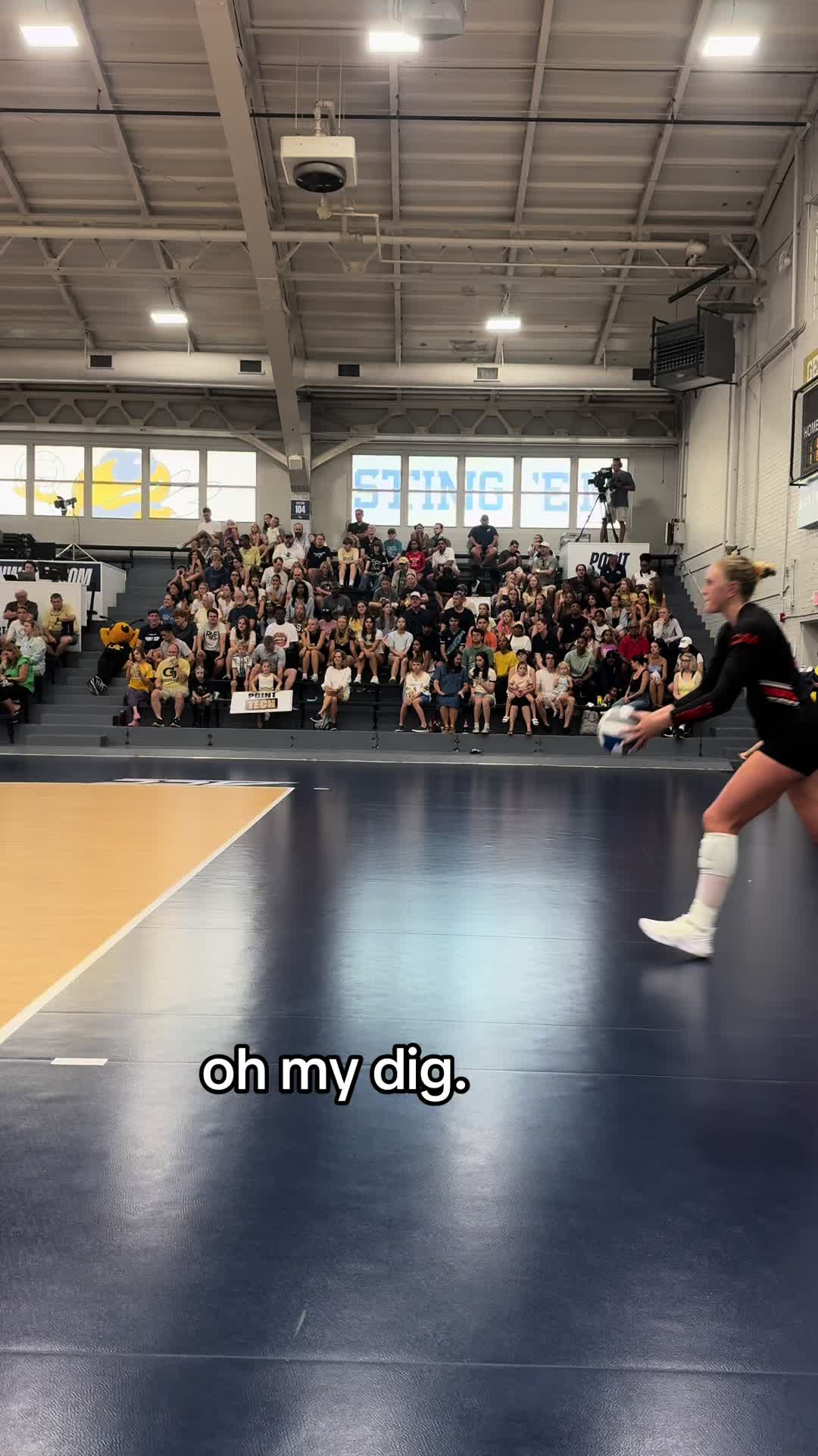 @Coach Nolan 🏐