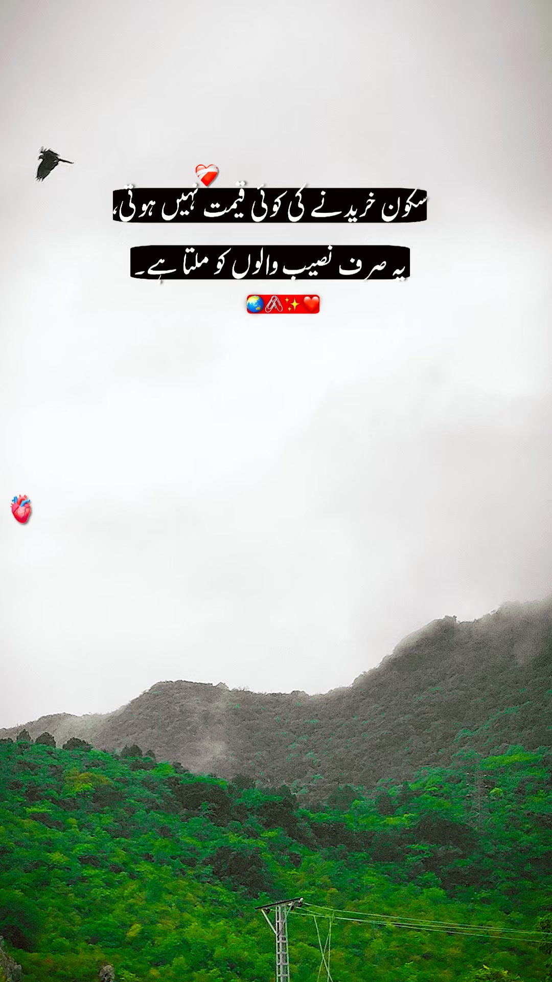 @Talha ki id