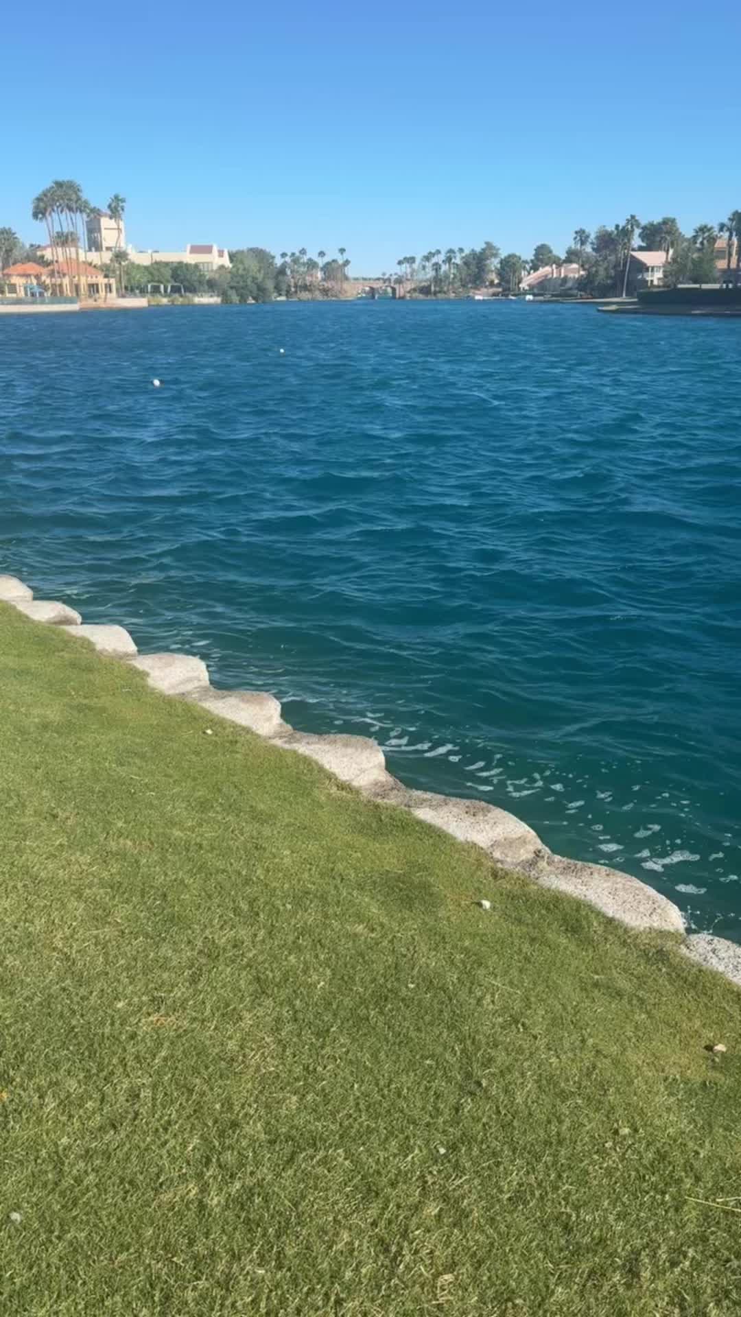 @Erika