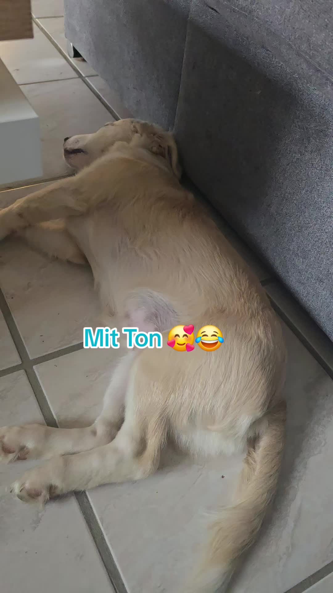 @🎀Angi🎀
