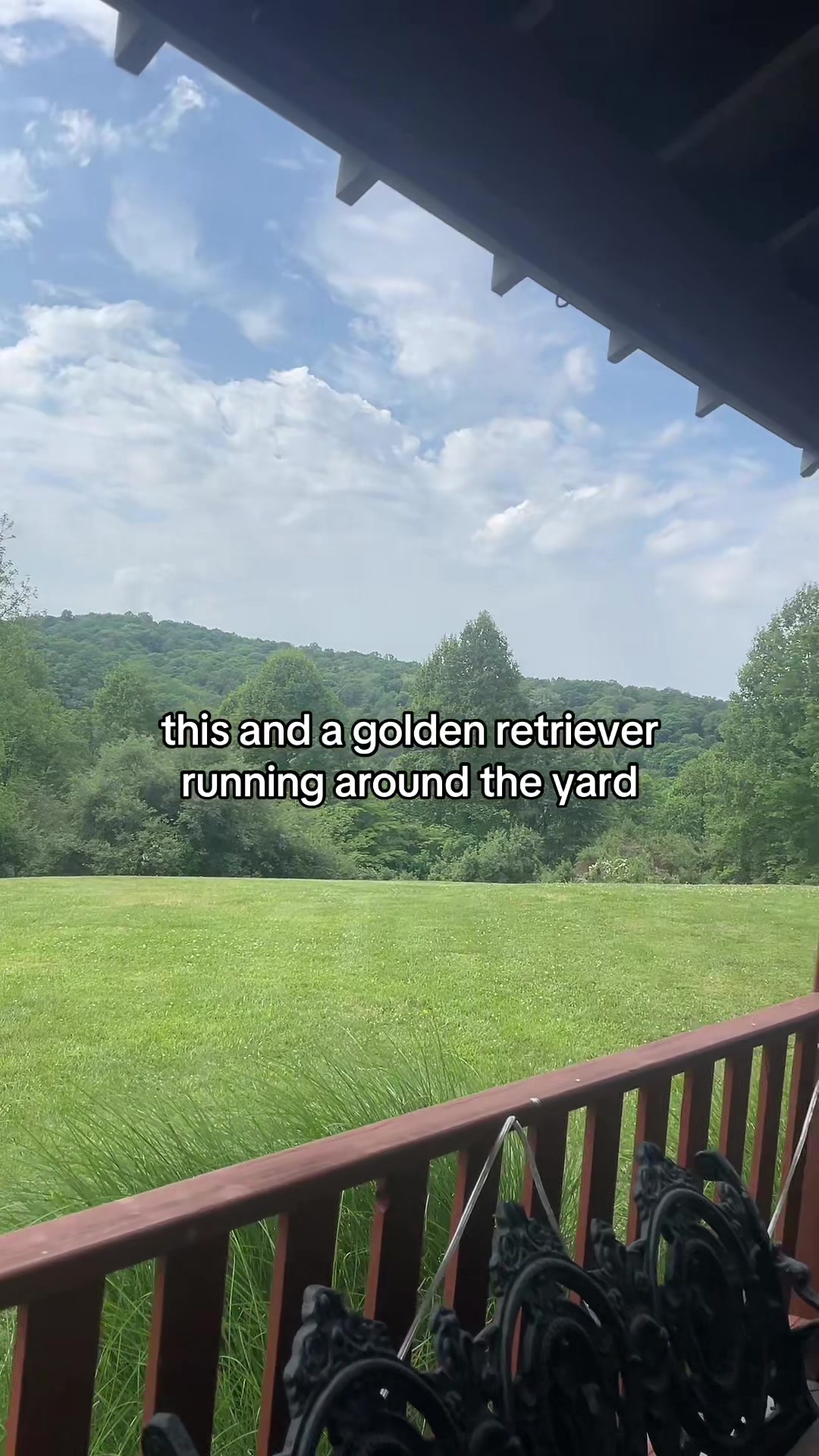 @ava