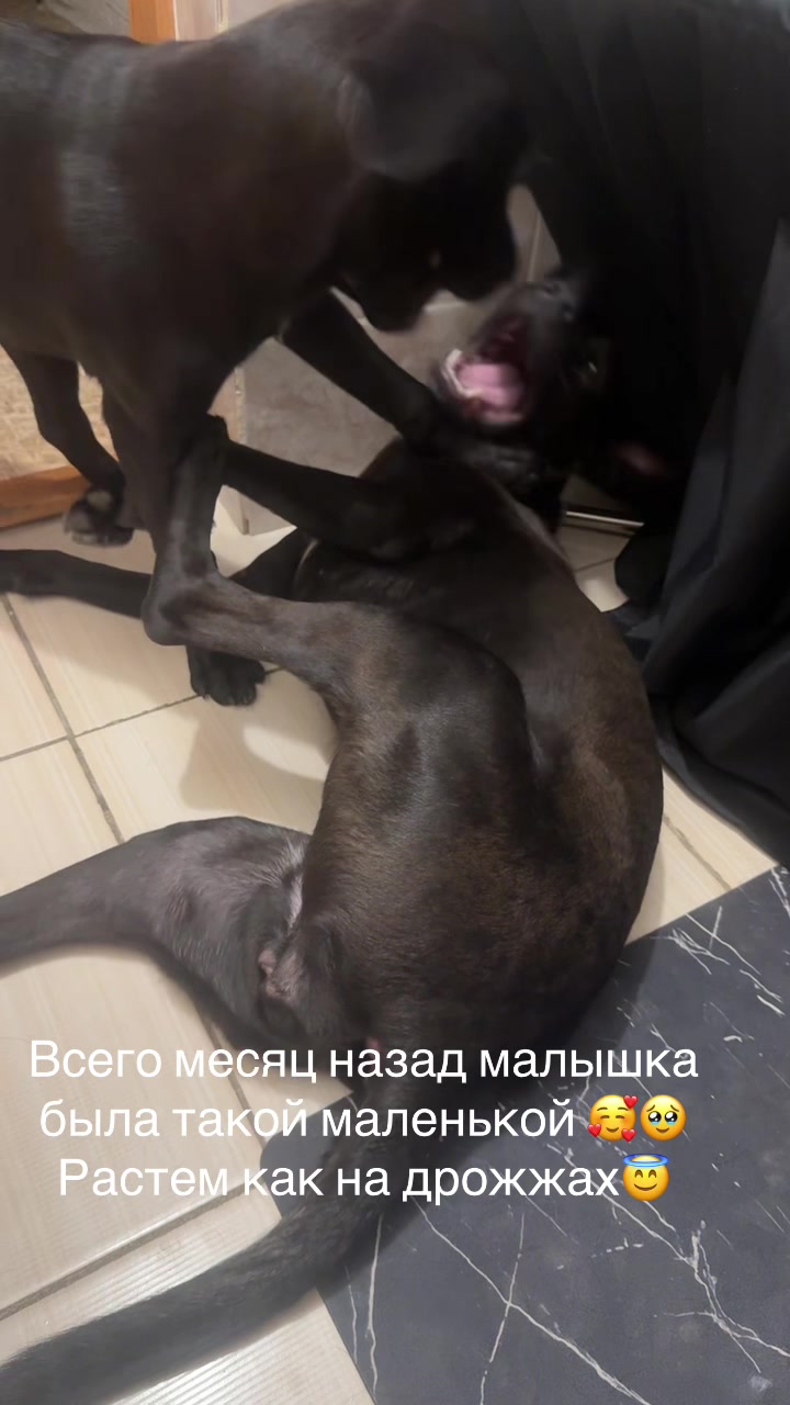@🍒Иришка🍒