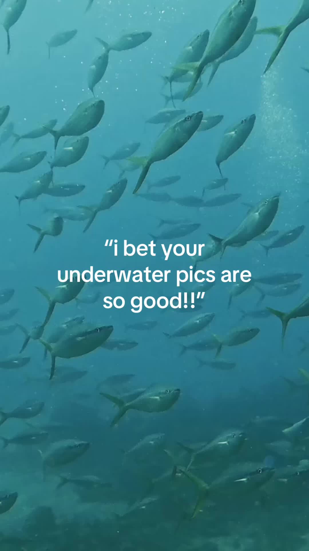 @faith, sarah, clare
