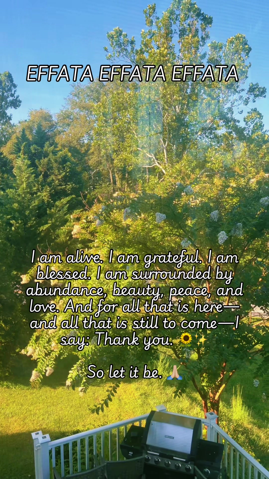 @13LesBelles13