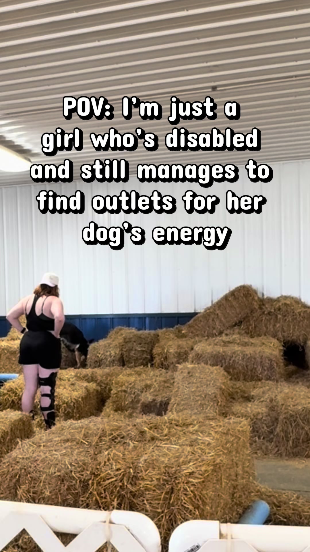 @potsiewithdogs