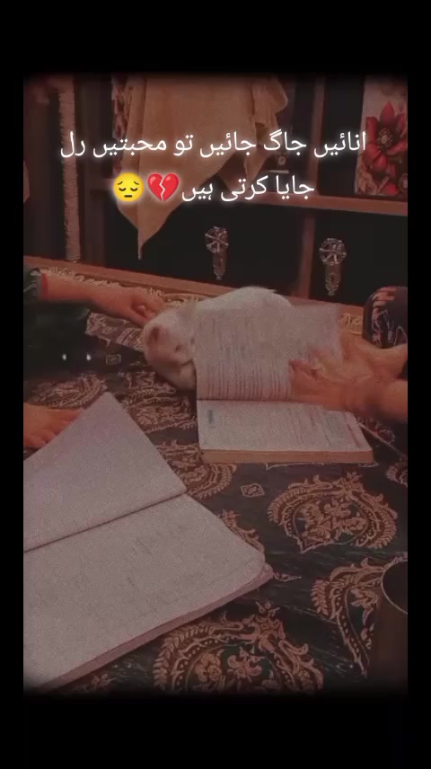 @Numan Mahi_21