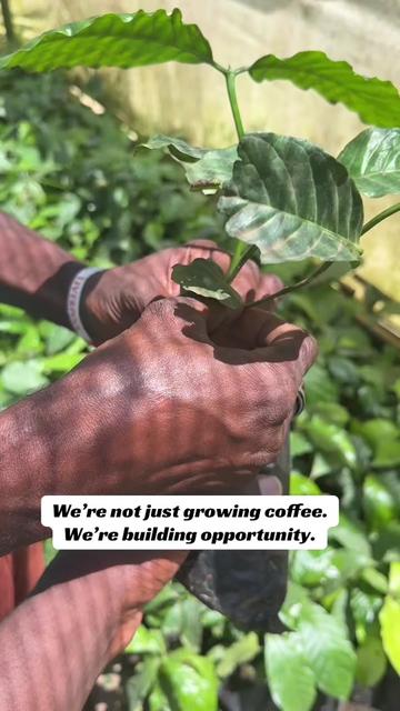 @Joshua | Genesis 10 Coffee