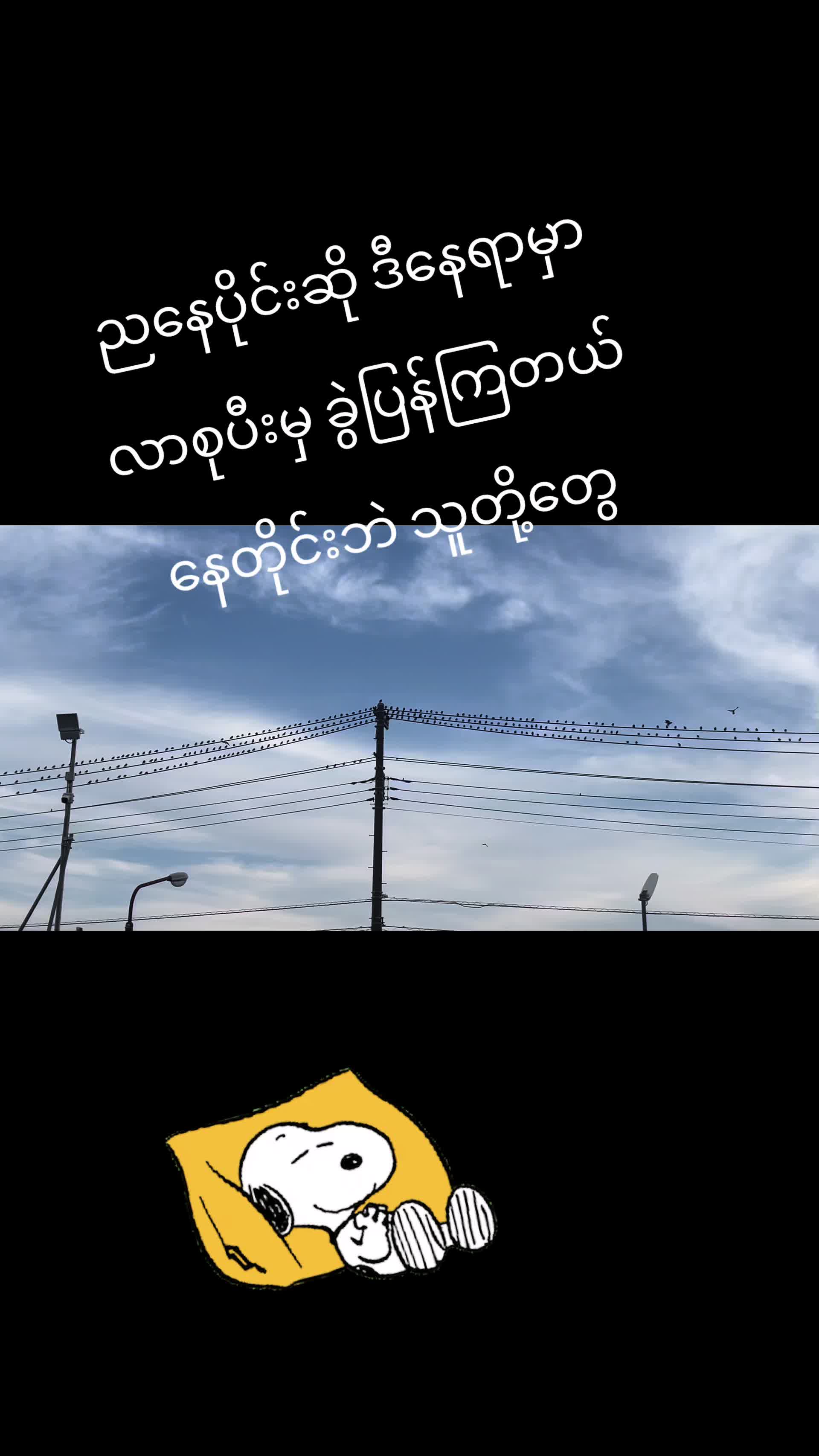 @đ˛đ˛Toe LayđŻđľ(á
á
áşáááŻááşá¸ááŹá¸)