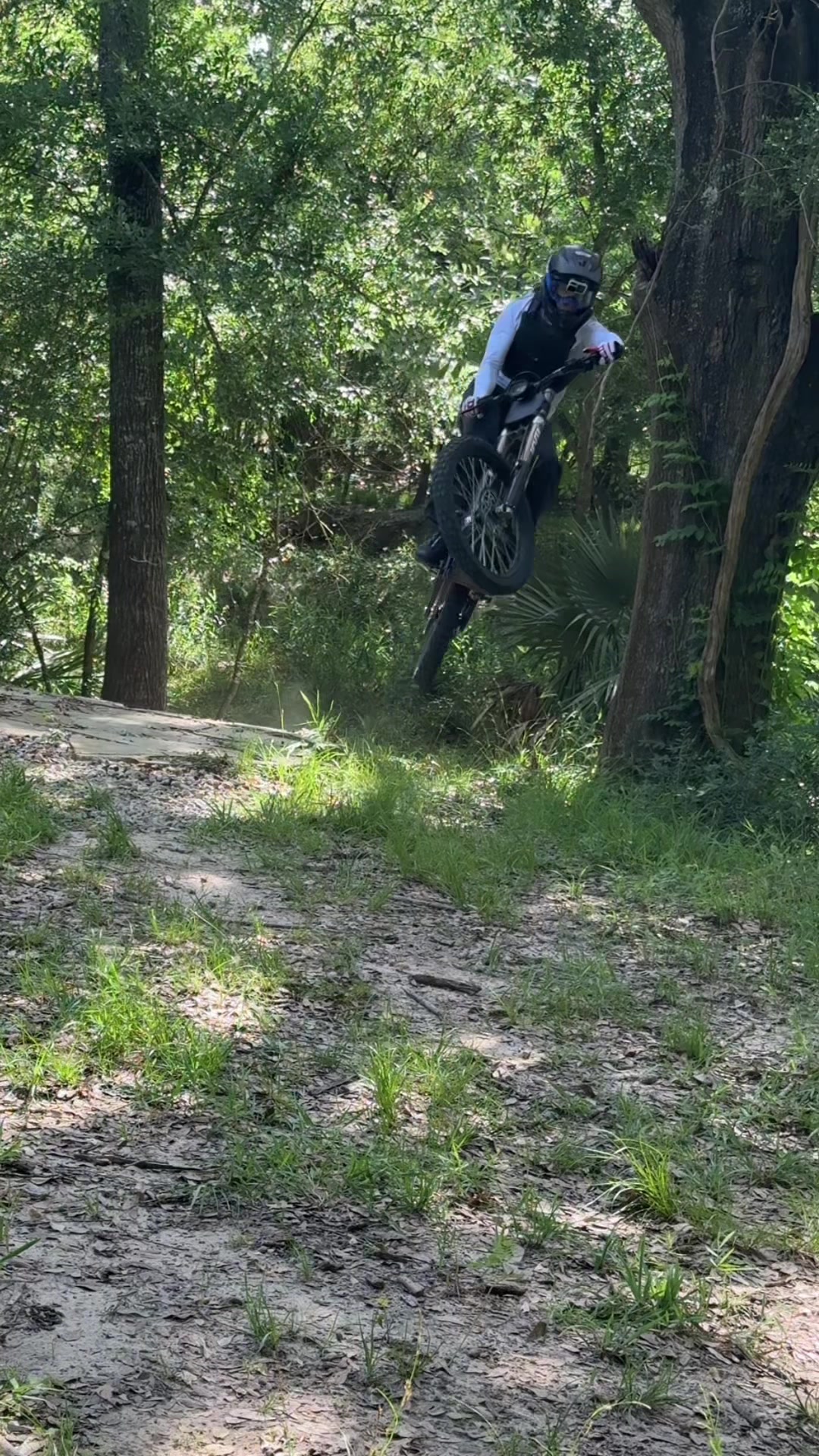 @noe_on_bronson
