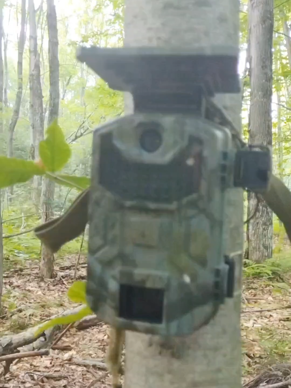 @TrailCam Qu&eacute;bec