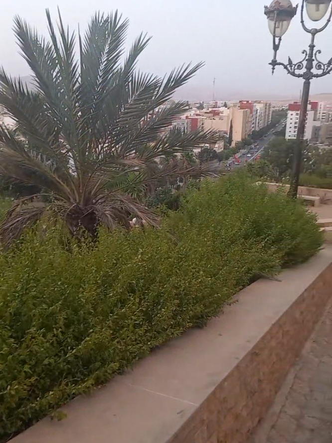 @🇲🇦ولد الصحراء🇲🇦