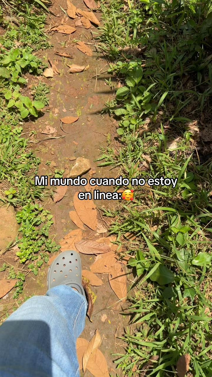 @elrodri_garcia