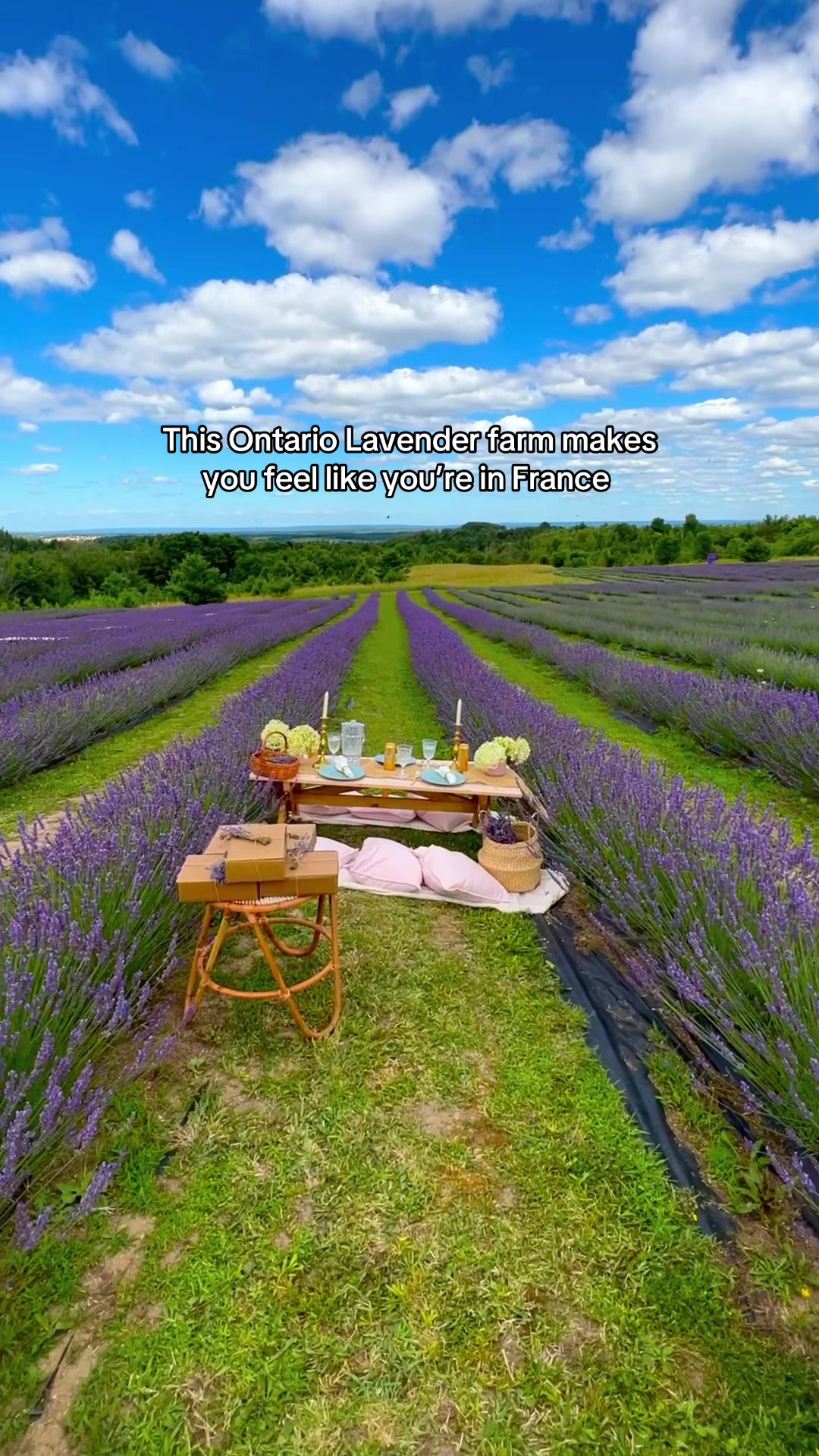 @Wellnesstravelled