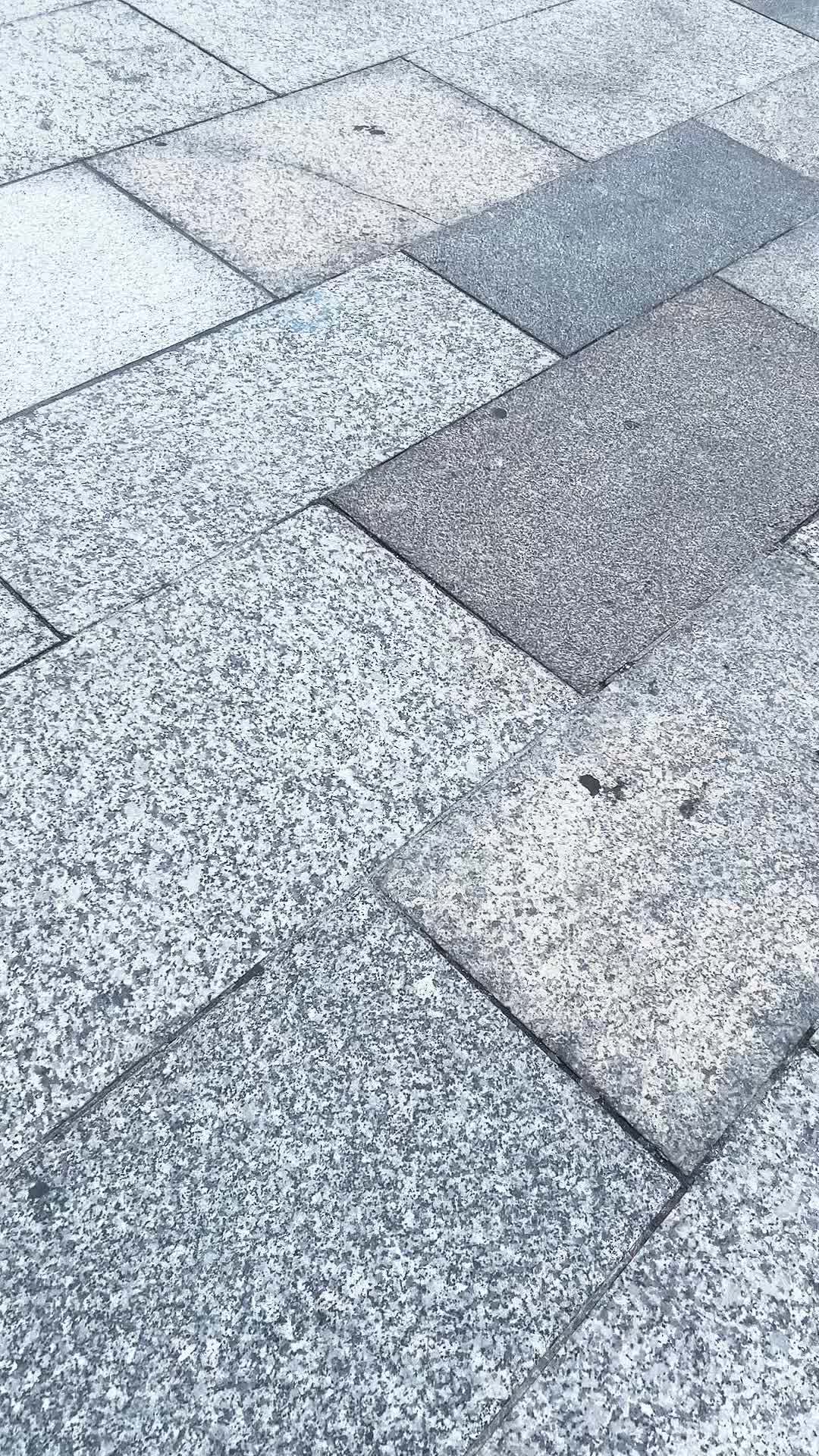 @ฅ^•ﻌ•^ฅ