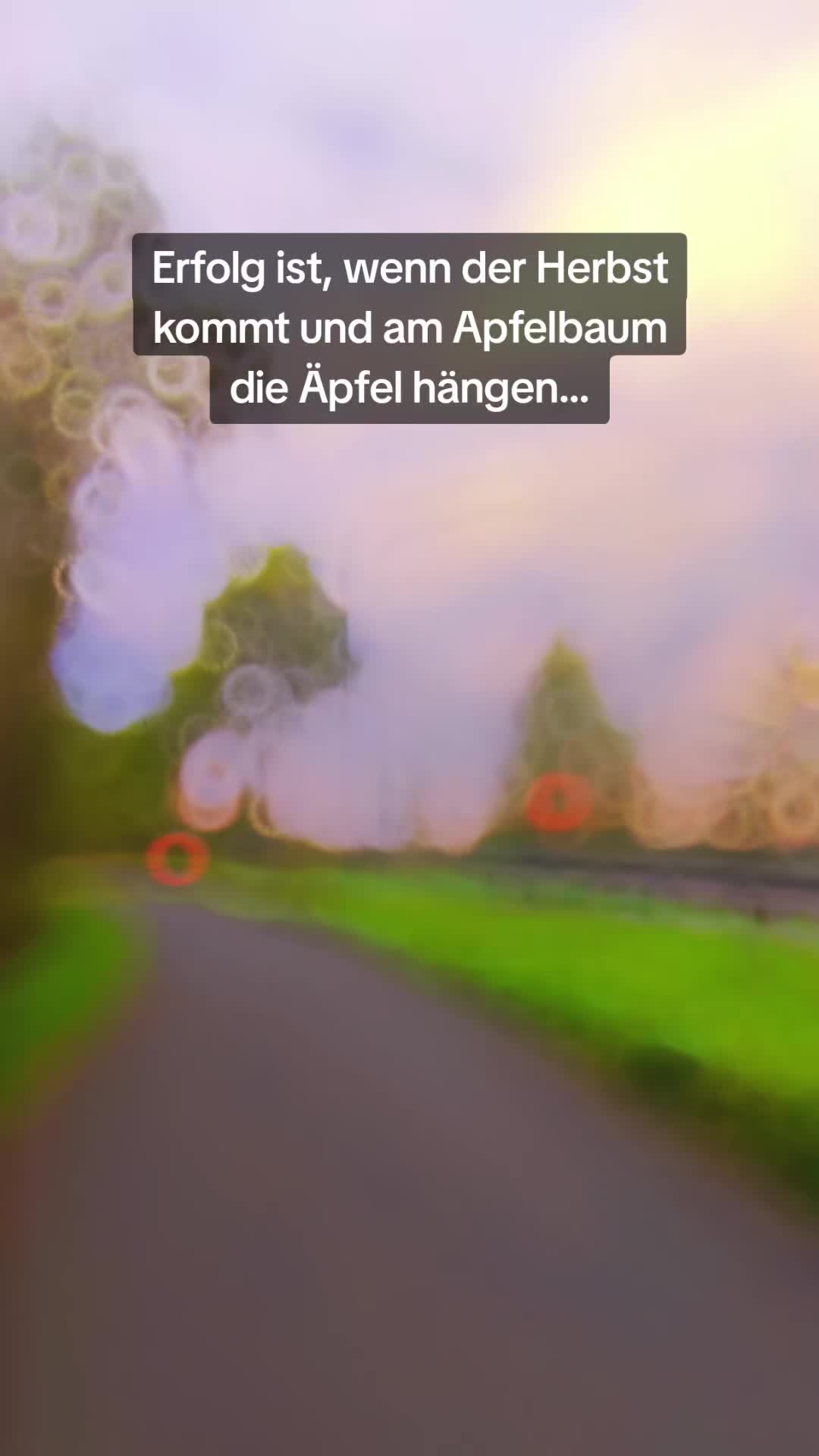@Mumpi
