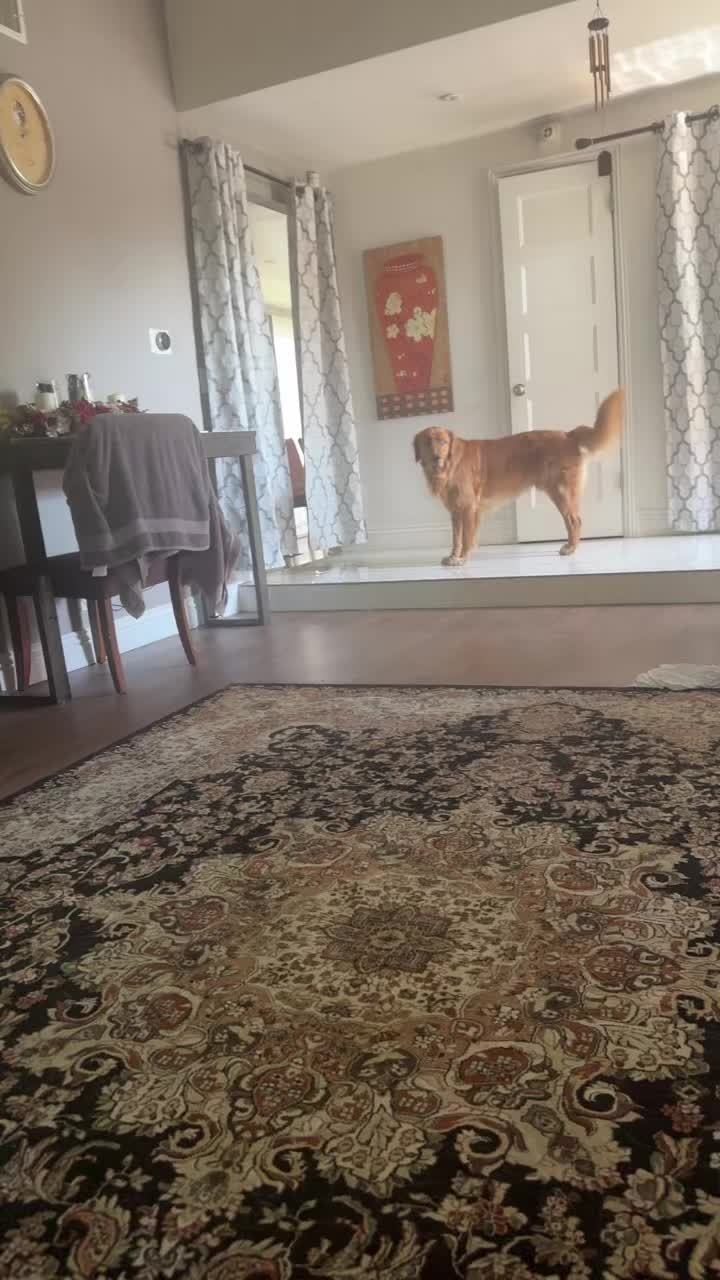 @Simba
