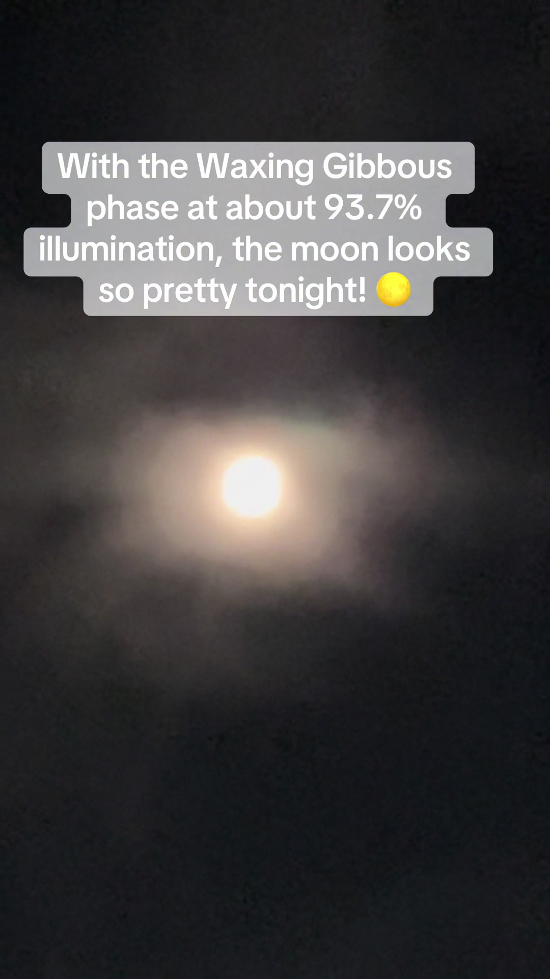 @sʜᴀɴɴʏ✨💚