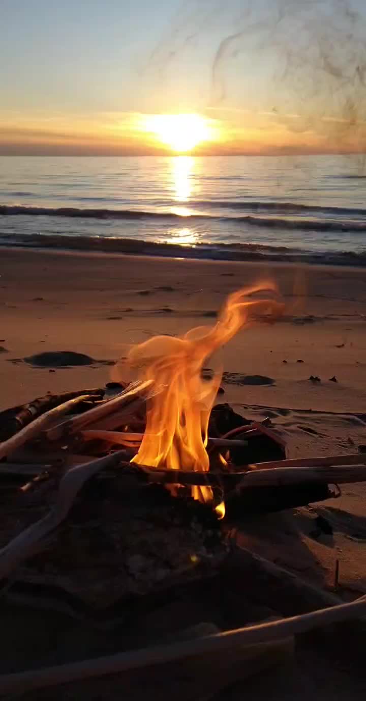 @didntevengo20