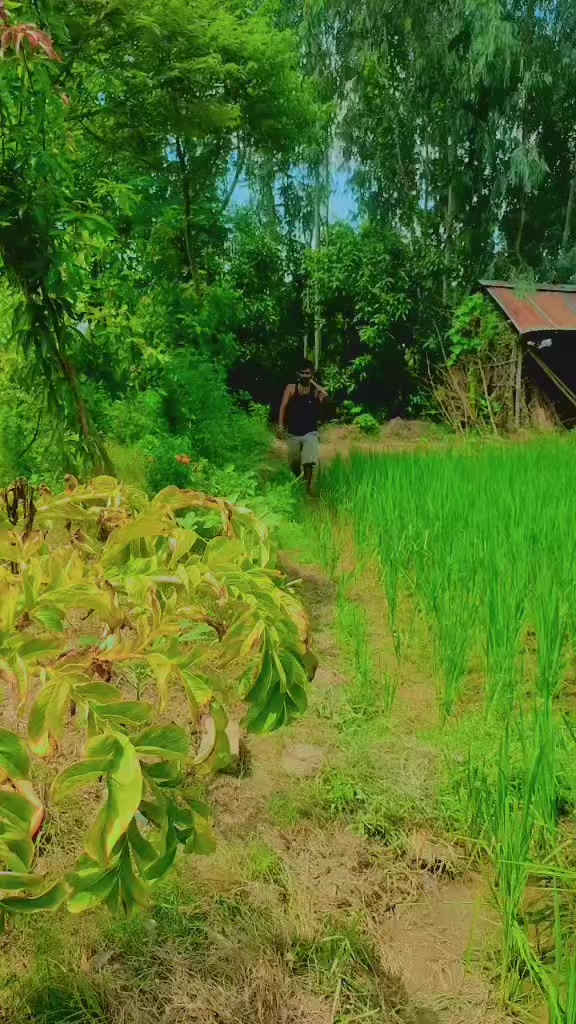 @omprakash Yadav