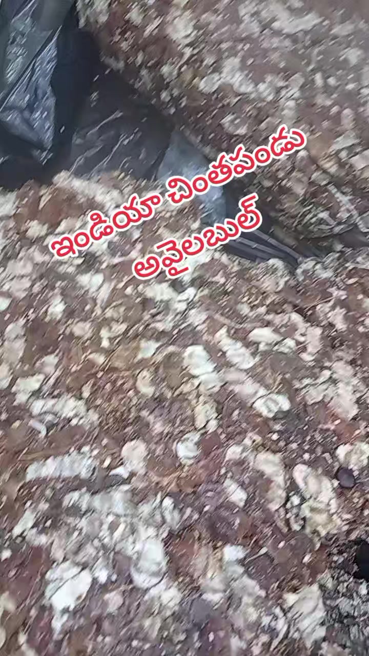 @Josaph 1430