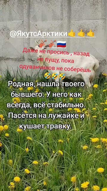 @🇷🇺irinasamara63 ♍ 🇷🇺