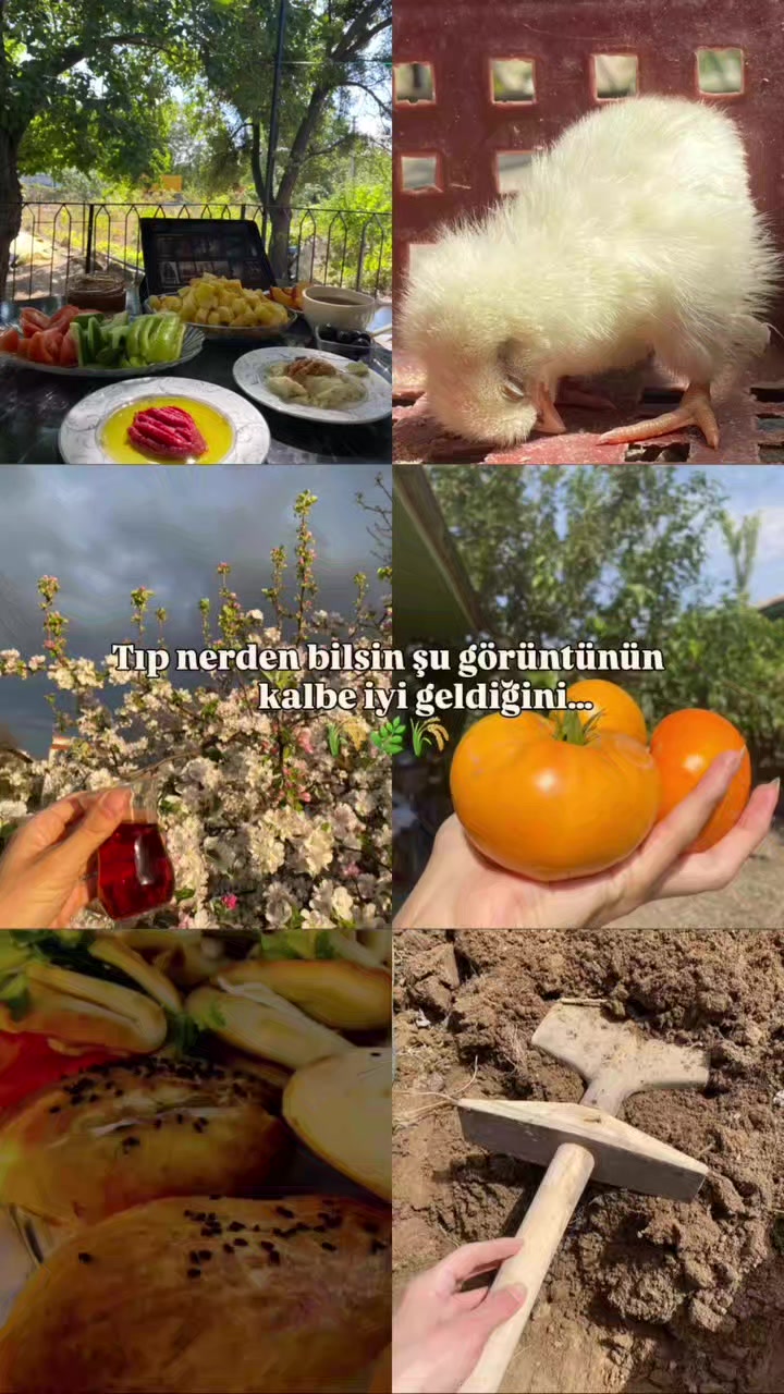 @❤️💛CİMBOMLU❤️💛