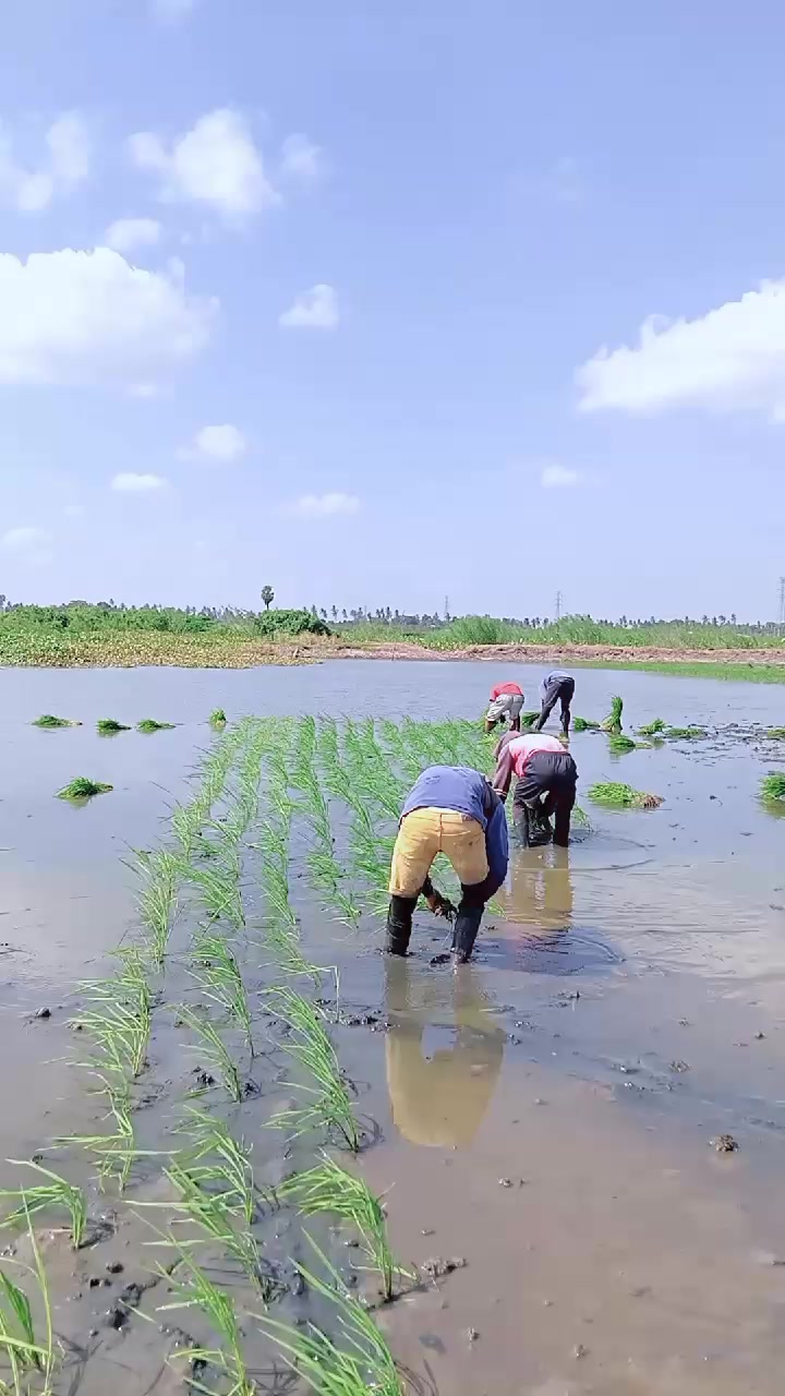 @Sudhy