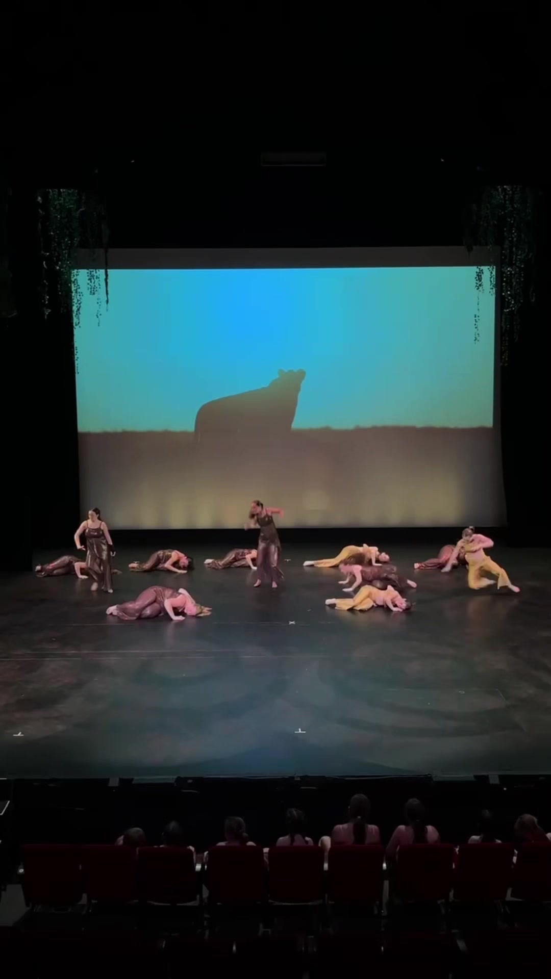 @danceextremeinc